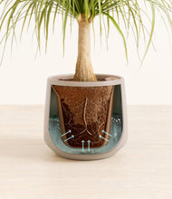 Load image into Gallery viewer, Eternal Gray stand:all
