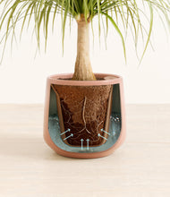 Load image into Gallery viewer, Calm Rose stand:all
