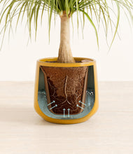 Load image into Gallery viewer, Mustard stand:all
