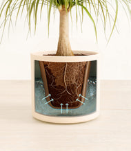 Load image into Gallery viewer, Cream stand:all
