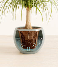 Load image into Gallery viewer, Deep Ocean stand:all
