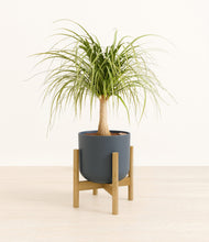 Load image into Gallery viewer, Iron Gray stand:bamboo
