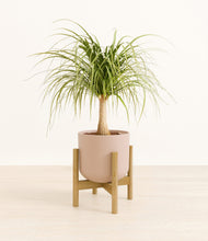 Load image into Gallery viewer, Sandy Pink stand:bamboo
