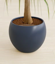 Load image into Gallery viewer, Deep Navy stand:all
