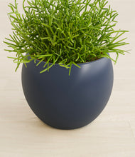 Load image into Gallery viewer, Deep Navy stand:all
