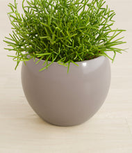 Load image into Gallery viewer, Winter Clouds stand:all
