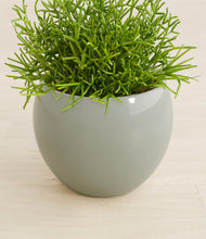 Load image into Gallery viewer, Deep Ocean stand:all
