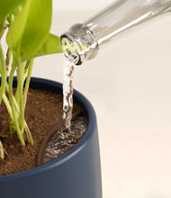 Load image into Gallery viewer, Deep Navy stand:all
