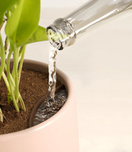 Load image into Gallery viewer, Gentle Pink stand:all
