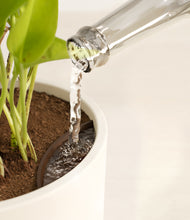 Load image into Gallery viewer, Cream stand:all
