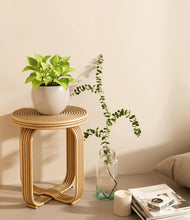 Load image into Gallery viewer, Shiny EggWhite
