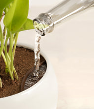 Load image into Gallery viewer, Shiny EggWhite stand:all
