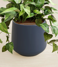 Load image into Gallery viewer, Deep Navy stand:all
