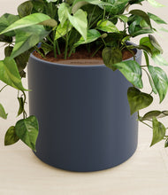 Load image into Gallery viewer, Deep Navy stand:all
