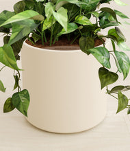 Load image into Gallery viewer, Cream stand:all
