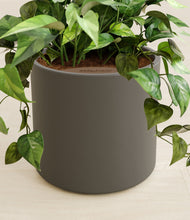 Load image into Gallery viewer, Dark Olive stand:all
