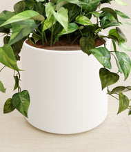 Load image into Gallery viewer, White stand:all
