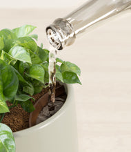 Load image into Gallery viewer, Turquoise stand:all
