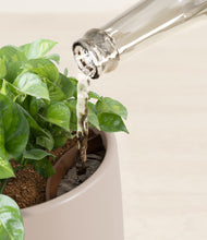 Load image into Gallery viewer, Eternal Gray stand:all
