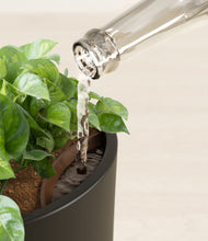 Load image into Gallery viewer, Black stand:all
