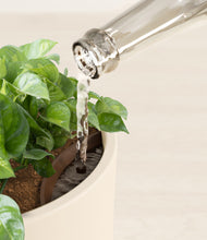 Load image into Gallery viewer, Cream stand:all
