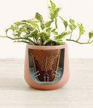 Load image into Gallery viewer, Calm Rose stand:all
