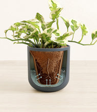 Load image into Gallery viewer, Iron Gray stand:all
