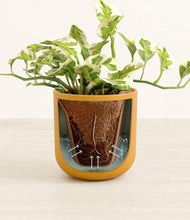 Load image into Gallery viewer, Sunset Orange stand:all
