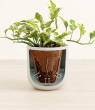 Load image into Gallery viewer, Natural Bamboo stand:all
