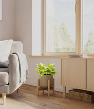 Load image into Gallery viewer, Olive stand:bamboo
