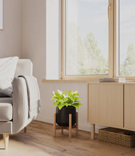 Load image into Gallery viewer, -
