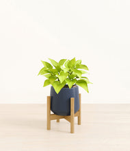 Load image into Gallery viewer, Deep Navy stand:bamboo
