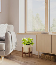 Load image into Gallery viewer, Almond Green stand:walnut
