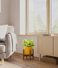 Load image into Gallery viewer, Mustard stand:walnut
