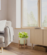 Load image into Gallery viewer, Turquoise stand:bamboo
