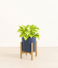 Load image into Gallery viewer, Deep Navy stand:bamboo
