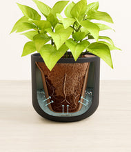 Load image into Gallery viewer, Stone Black stand:all
