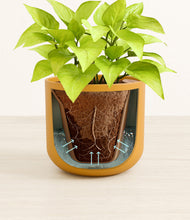 Load image into Gallery viewer, Sunset Orange stand:all
