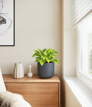 Load image into Gallery viewer, Iron Gray
