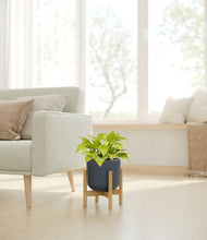 Load image into Gallery viewer, Iron Gray stand:bamboo
