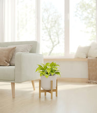 Load image into Gallery viewer, Natural Bamboo stand:bamboo
