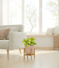 Load image into Gallery viewer, Sandy Pink stand:bamboo
