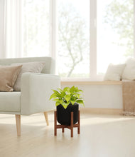 Load image into Gallery viewer, Stone Black stand:walnut
