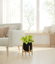 Load image into Gallery viewer, Stone Black stand:bamboo
