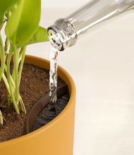 Load image into Gallery viewer, Sunset Orange stand:all
