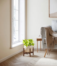 Load image into Gallery viewer, Shiny EggWhite stand:walnut
