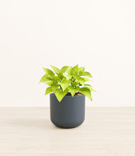 Load image into Gallery viewer, Iron Gray*****Profile
