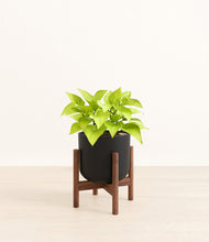 Load image into Gallery viewer, Stone Black stand:walnut
