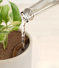 Load image into Gallery viewer, Snowdrift White stand:all
