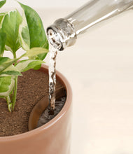 Load image into Gallery viewer, Hammered Peach Pink stand:all
